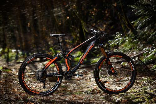 Ellsworth Rogue Sixty  technische daten 